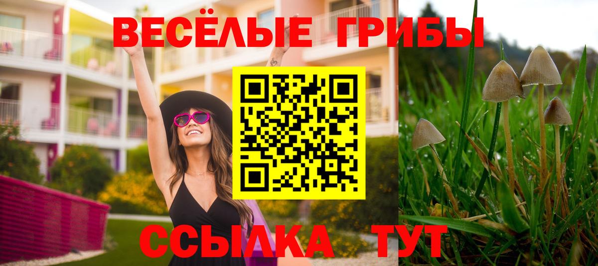 Псилоцибиновые грибы мицелий  купить наркотик  Псилоцибиновые грибы мухоморы  Аша  Вход с VPN 